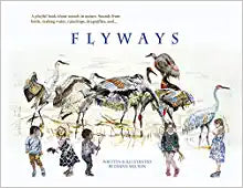 Flyways