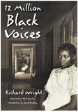 12 MILLION BLACK VOICES