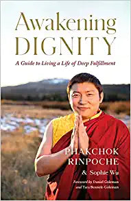 Awakening Dignity: A Guide to Living a Life of Deep Fulfillment
