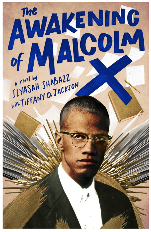 The Awakening of Malcolm X: A Novel