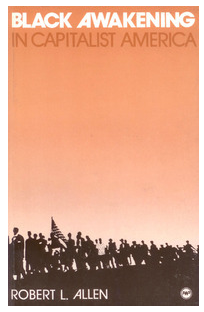 Black Awakening in Capitalist America: An Analytic History