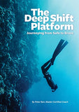 The Deep Shift Platform: Journeying from Safe to Brave