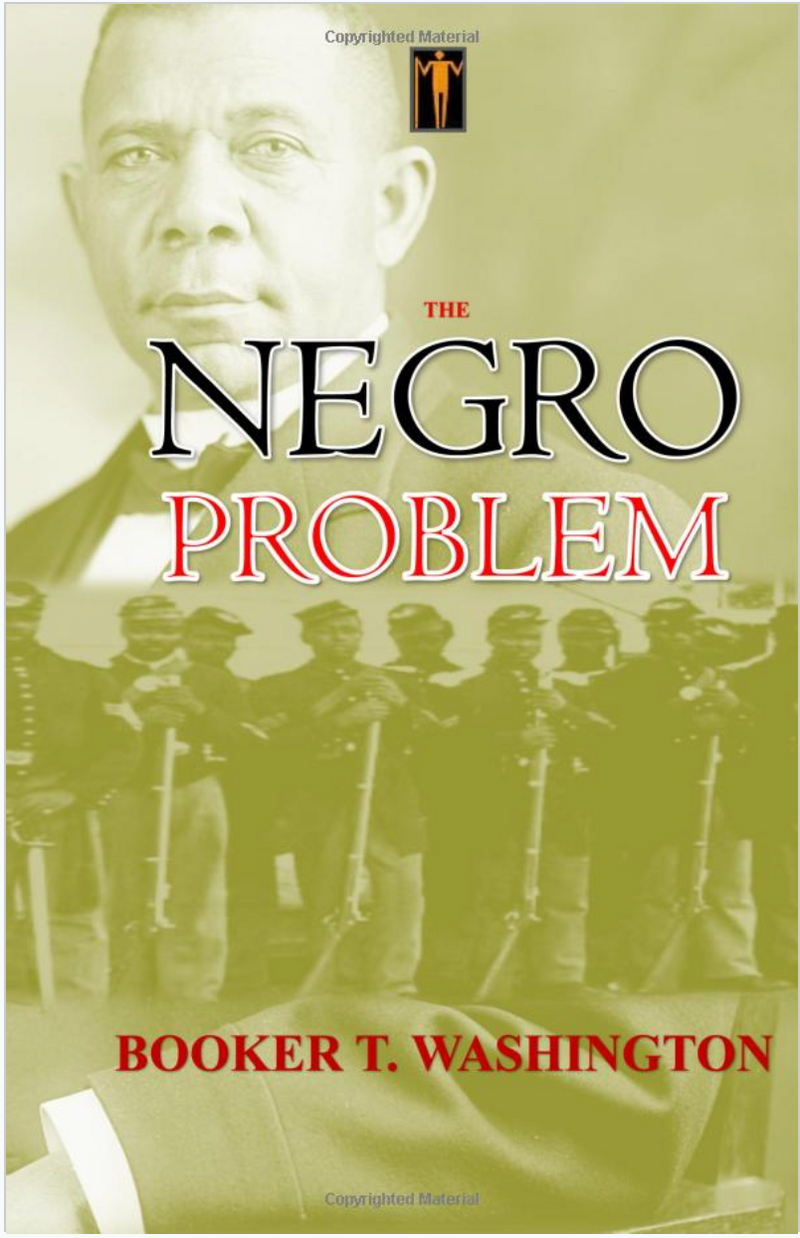 The Negro Problem