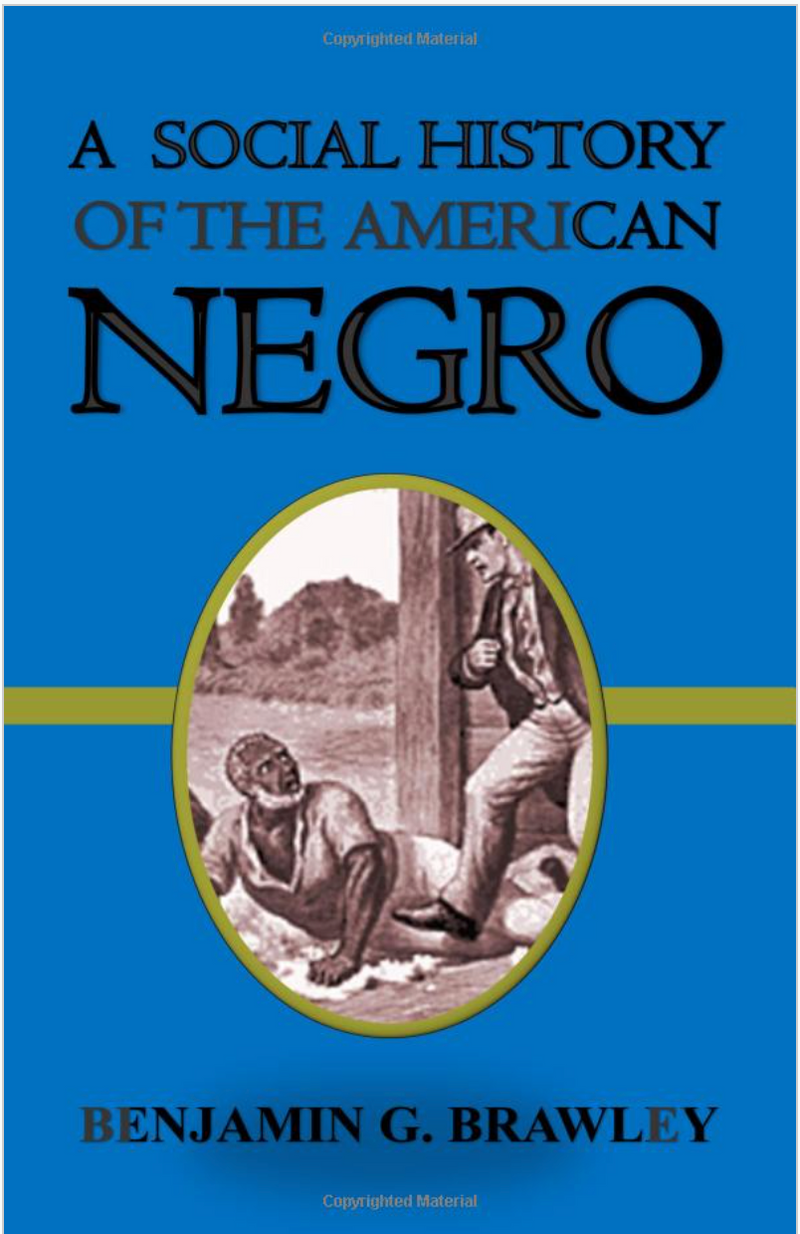 A Social History of the American Negro