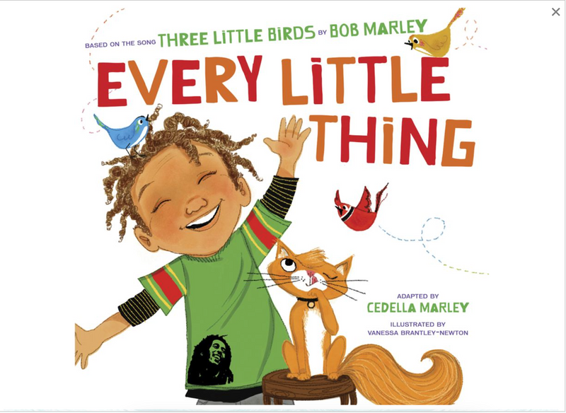 EVERY LITTLE THING: BASED ON THE SONG 'THREE LITTLE BIRDS' BY BOB MARLEY