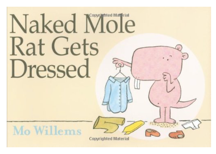 NAKED MOLE RAT GETS DRESSED