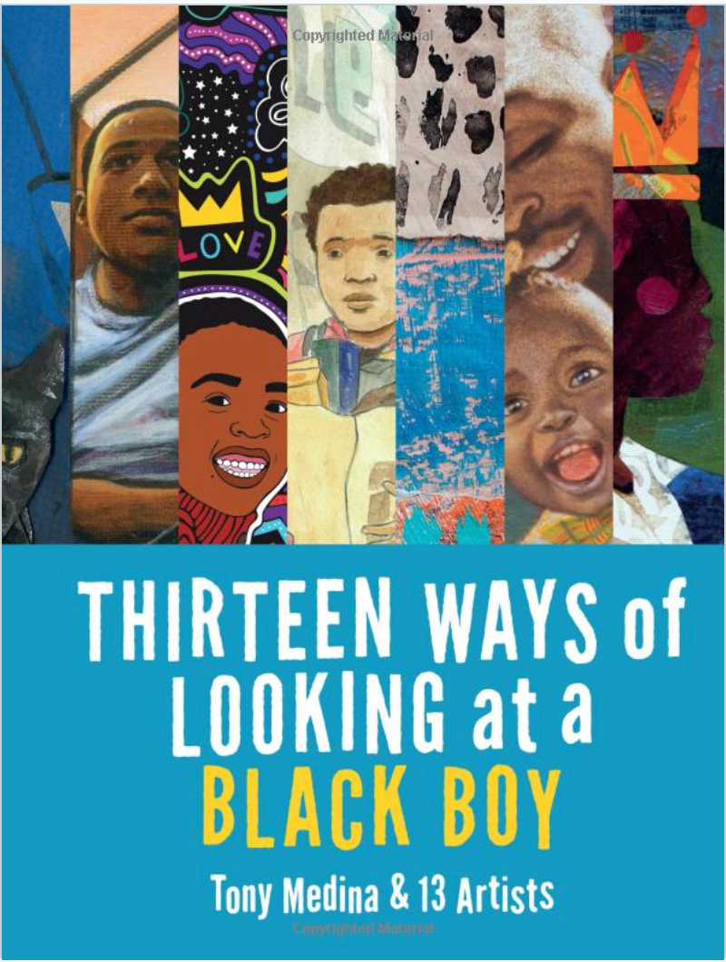 THIRTEEN WAYS OF LOOKING AT A BLACK BOY