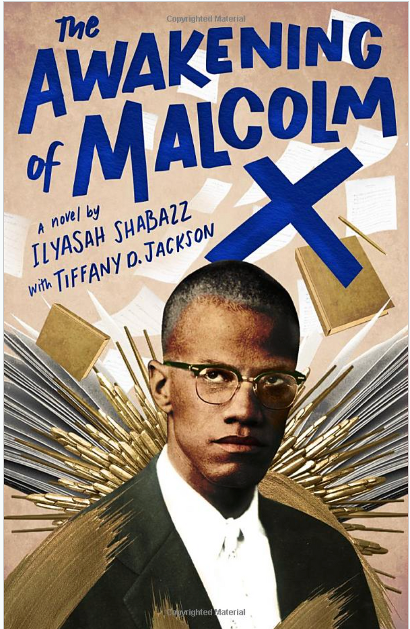 THE AWAKENING OF MALCOLM X