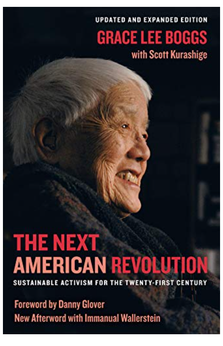 THE NEXT AMERICAN REVOLUTION: SUSTAINABLE ACTIVISM FOR THE TWENTY-FIRST CENTURY (UPDATED, EXPANDED)