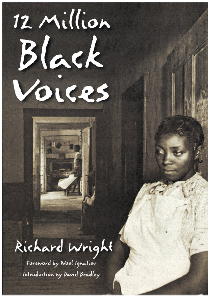 12 MILLION BLACK VOICES