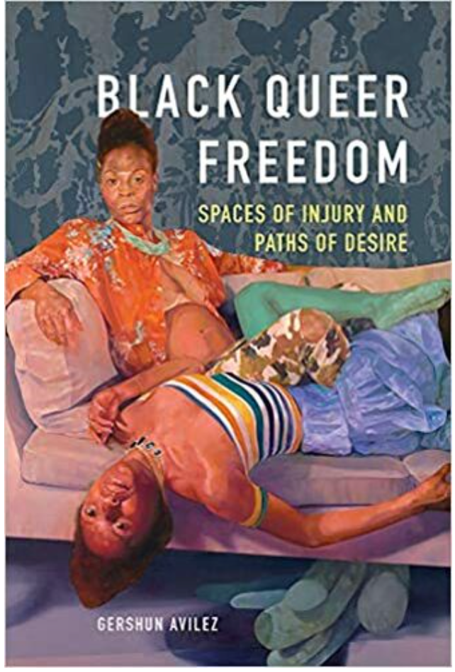 BLACK QUEER FREEDOM: SPACES OF INJURY AND PATHS OF DESIRE (NEW BLACK STUDIES)
