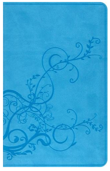 THINLINE BIBLE-ESV