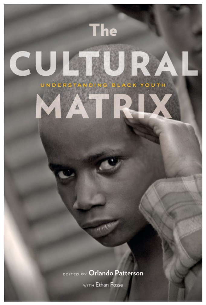 THE CULTURAL MATRIX: UNDERSTANDING BLACK YOUTH