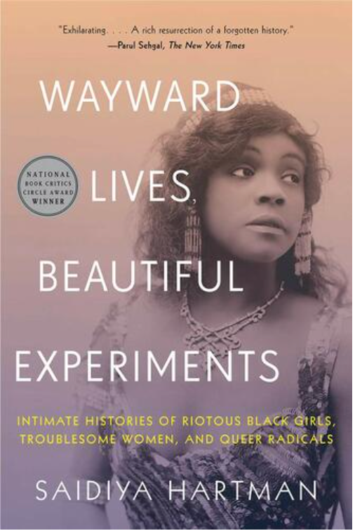 WAYWARD LIVES, BEAUTIFUL EXPERIMENTS: INTIMATE HISTORIES OF SOCIAL UPHEAVAL (PB)