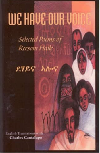WE HAVE OUR VOICE (Bilingual, English and Tigrinya) (available in hardcover only)