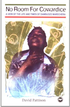 NO ROOM FOR COWARDICE: DAMBUDZO MARECHERA