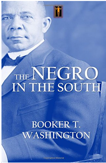 The Negro in the South