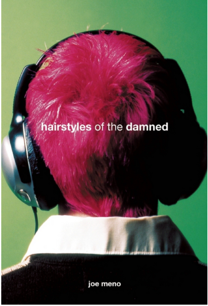 Hairstyles of the Damned (Punk Planet Books)