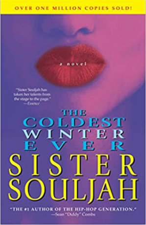 The Coldest Winter Ever: A Novel