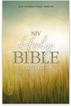 KJV, Holy Bible, Larger Print, Paperback